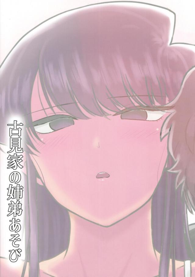 千本ヒダ名器マンコ姉と上反りデカマラ弟 <> 033