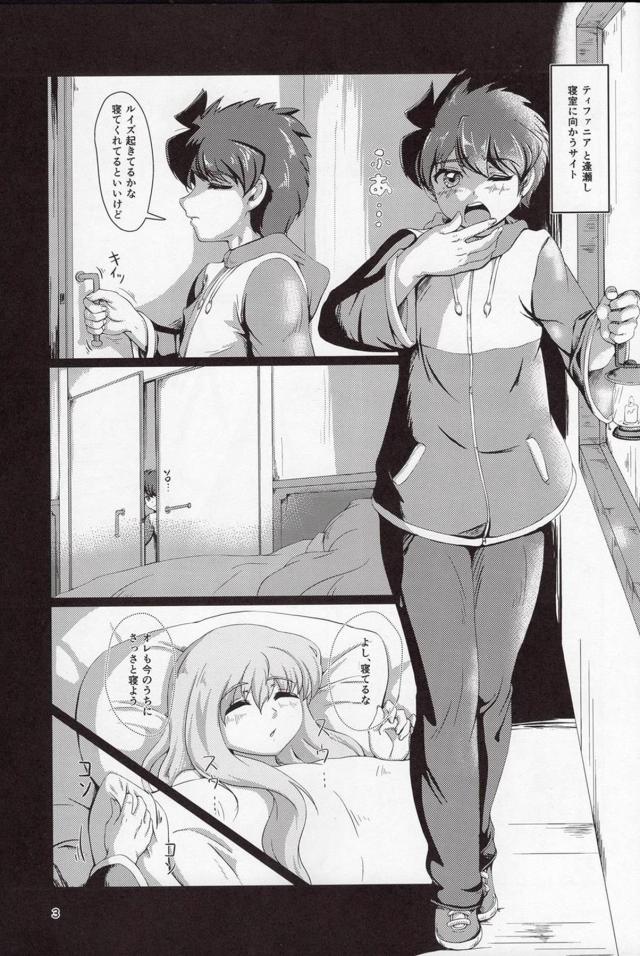 巨乳姫様の夜這いフェラでおちんぽギンギンっ！寝ているルイズの隣で中出しセックス <> 002