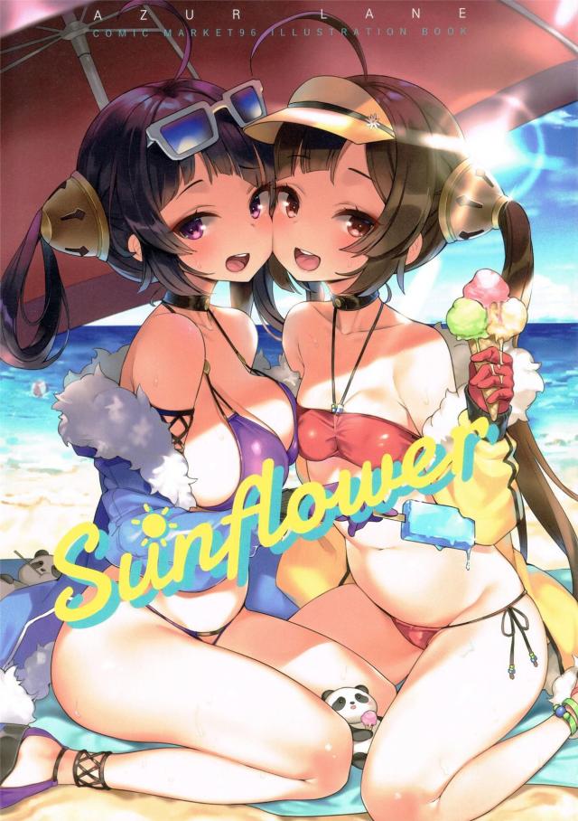 平海寧海姉妹、イラストリアス、赤城、加賀、愛宕ほかフルカラーイラスト集 <> 1