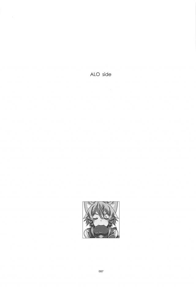 [前編]200p超え！SAO本まとめ <> 086