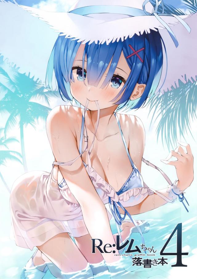 見えそうで見えないレム・ラム・レミリアの美体 <> 1