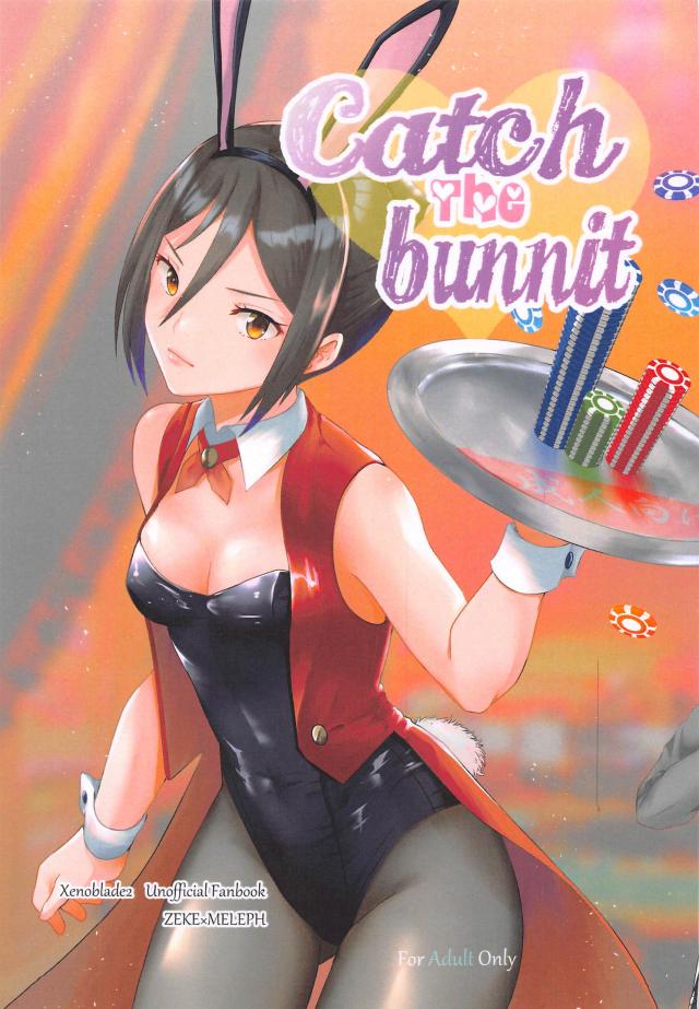 囚われのバニットちゃんプレイ <> 1