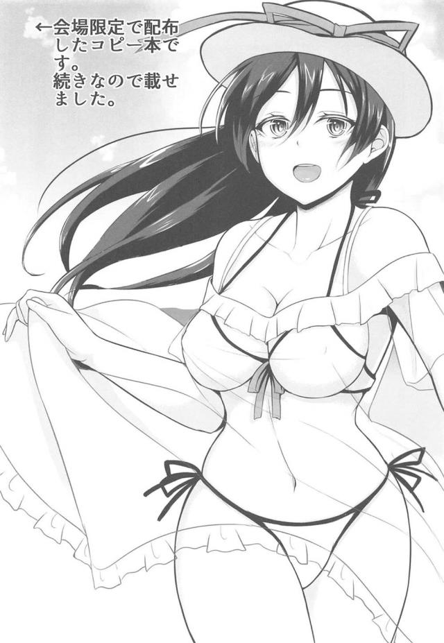 [7本立て]遠隔オナホ挿入や壁尻、異世界モノまでラブライブ総集本 <> 095