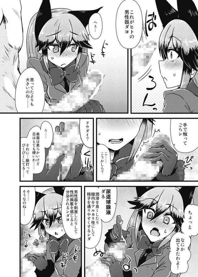 [エロギャグ]無知なギンギツネに一から教える本 <> 005