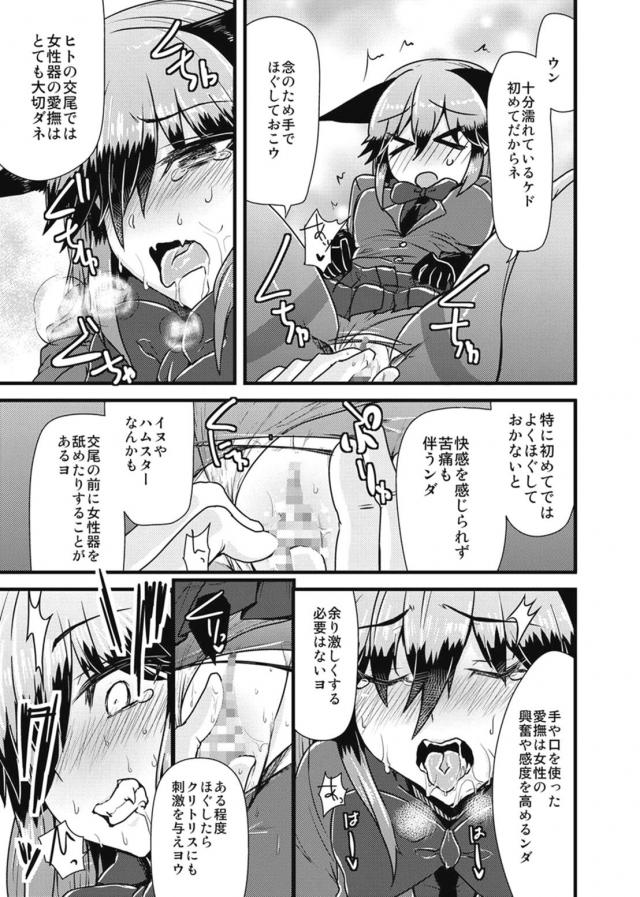 [エロギャグ]無知なギンギツネに一から教える本 <> 014
