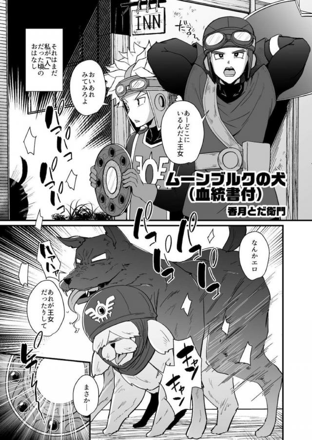 ハイシコ！ハイクオリティドラクエ 合同誌☆5本立て <> 026