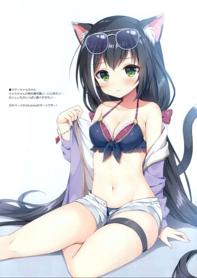 [非エロ]美食殿コスプレイラスト集[フルカラー] <> 009