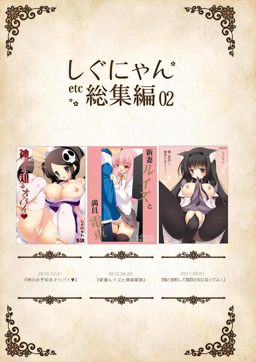 [シンフォギア・ゼノブレイド・はがない・ゼロ魔・まどマギ・神のみ・グレンラガン]山盛り総集本 <> 003