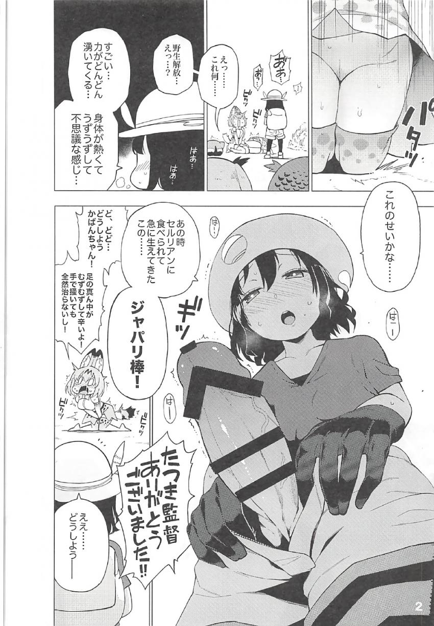 かばんちゃんがフレンズ達全員と一通りセックスするハーレム乱交もの <> 003