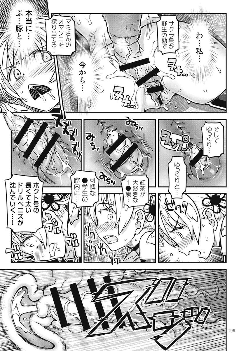【後編】過去作全6作品に完全新作30pを加えた大ボリューム251Pの総集本☆まどほむ百合な内容から、どんどん鬼畜ハード路線になっていく！！！その変遷も必見！ <> 082