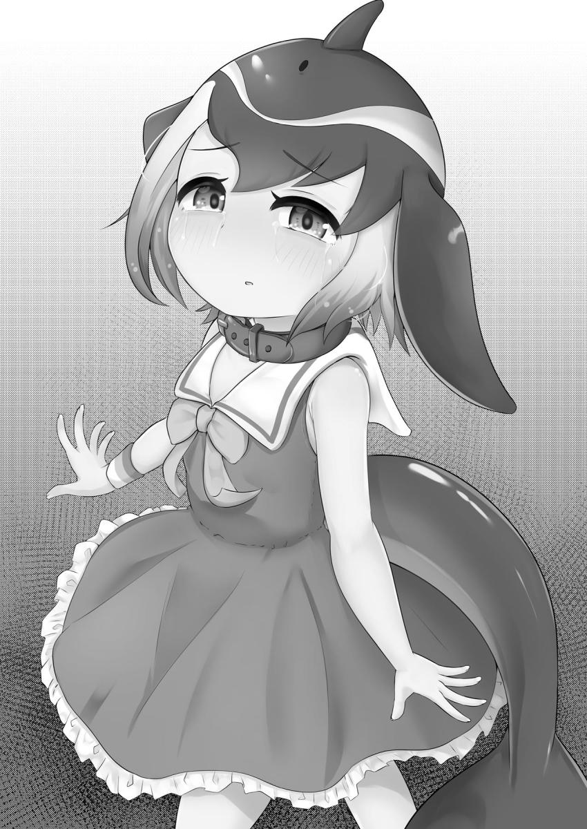 無邪気なロリ娘マイルカちゃんに睡眠薬盛って拘束！嫌がる彼女の口に強引におちんぽ突っ込んで口内射精！号泣する彼女を叱りつけて処女喪失レイプ！ <> 002