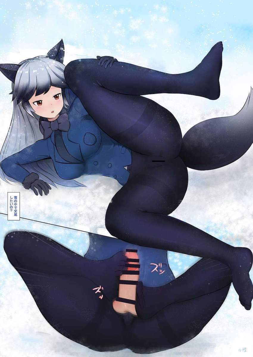 双頭バイブでギンギツネとキタキツネが合体連結！ウミネコちんぽで子作りセックス！ほか合同誌 <> 010