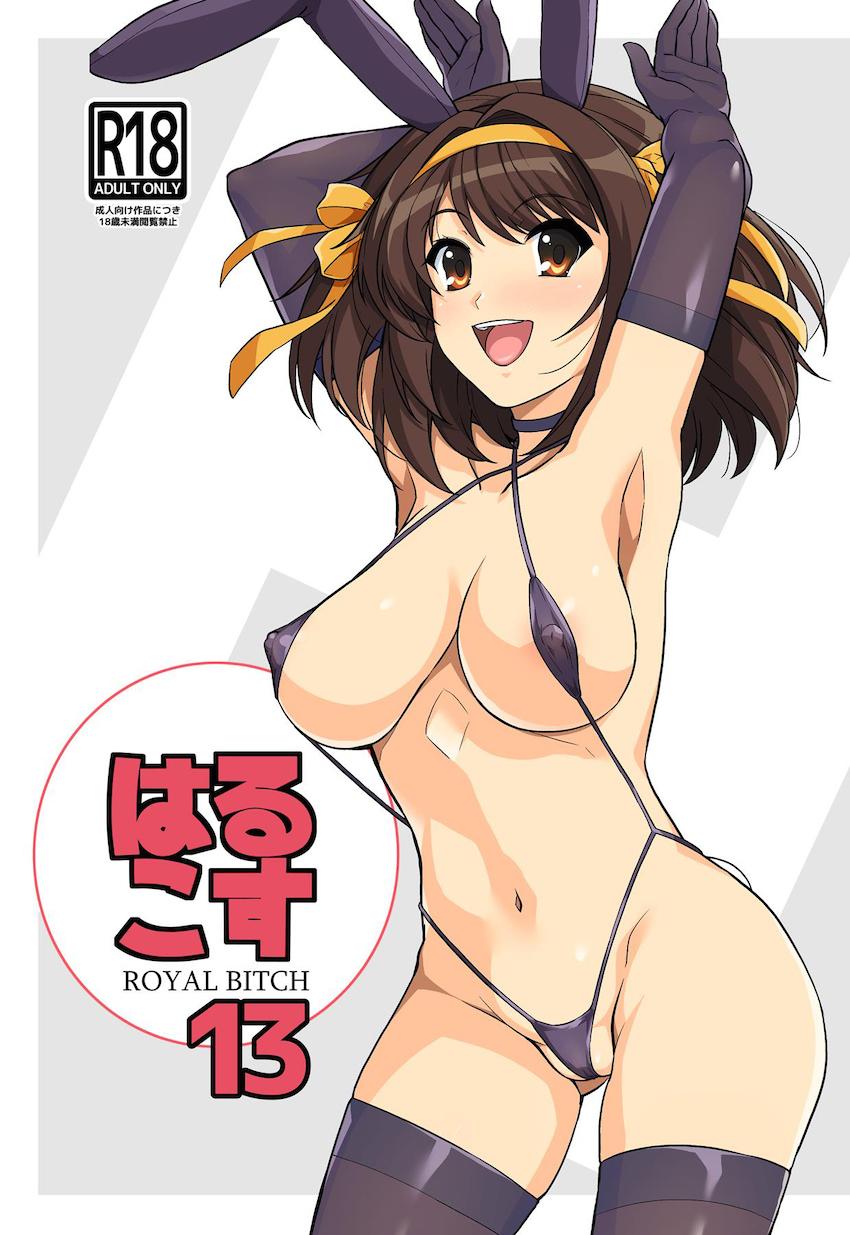 いろんな衣装を着た涼宮ハルヒの長編フルカラーイラスト集 <> 1