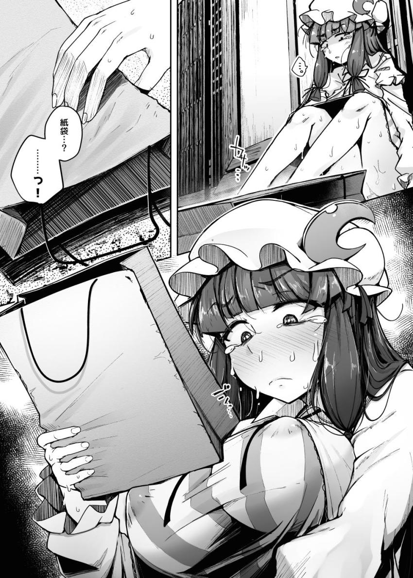 小悪魔の監視の目の影響でなかなか性欲発散できないパチュリーが時間停止魔法を習得し人里におりて男たちの生チンポをディルド代わりに変態セックスする！ <> 037