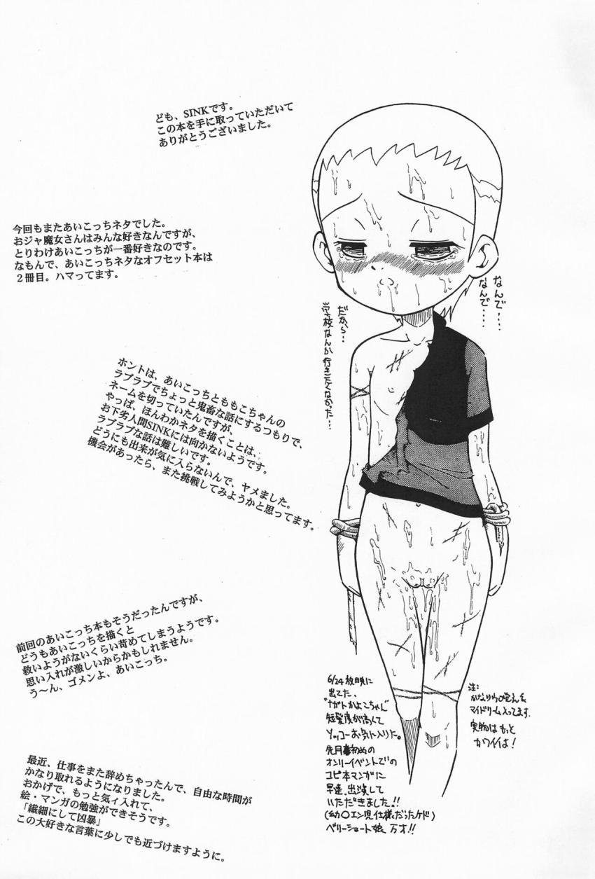 裏番5・妹尾あいこちゃん拉致レイプ！キツキツ子供マンコに大人チンポ二穴挿入！ <> 024
