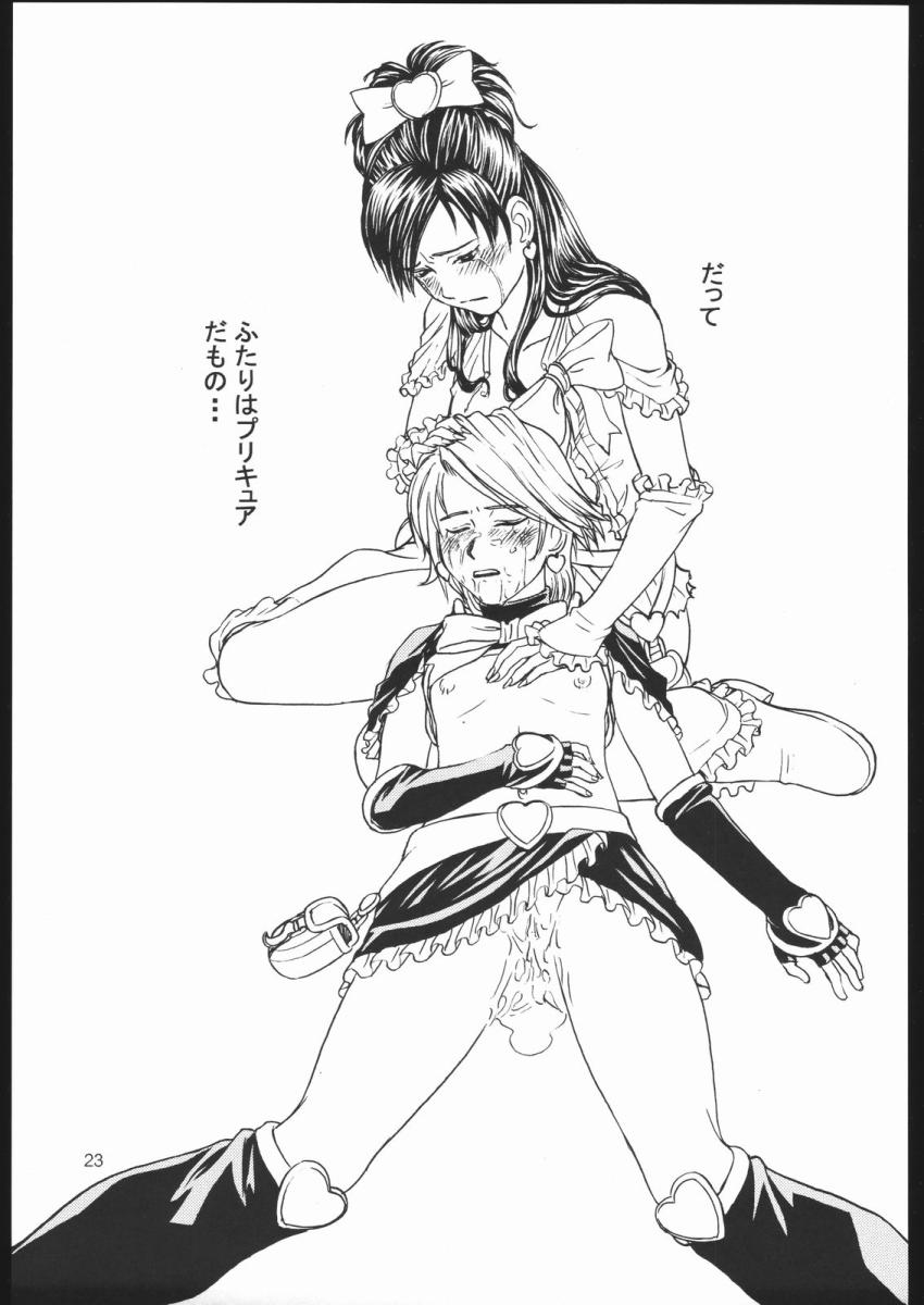 輪姦レイプで涙を流しながら処女喪失するキュアホワイトとキュアブラック <> 022