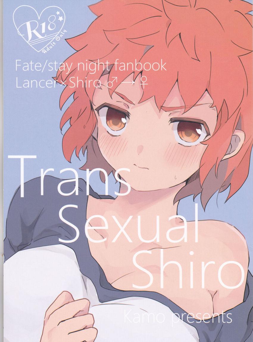 【女性向け】女体化した衛宮士郎とランサーの魔力補給 <> 1