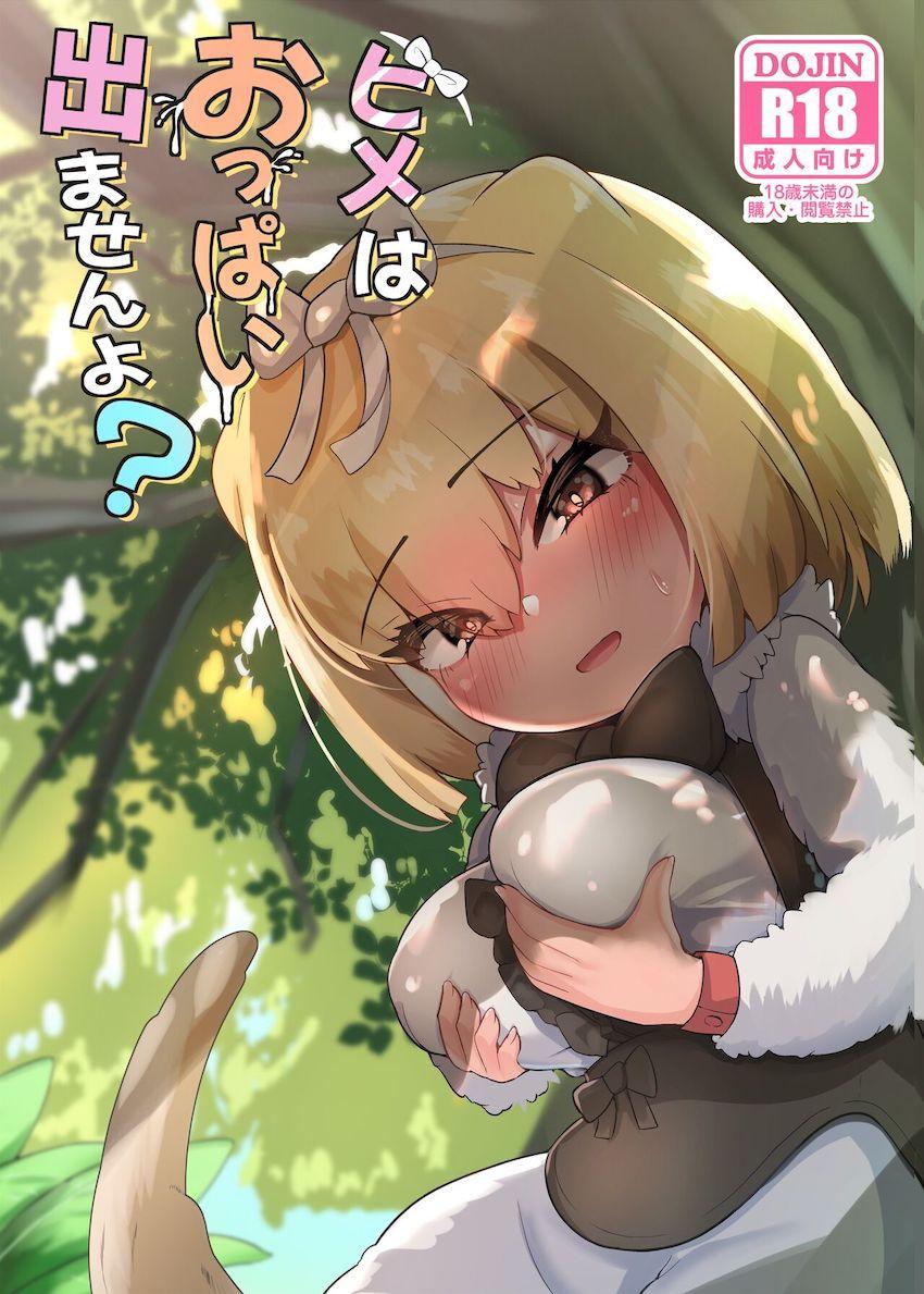 純真無垢なヒメちゃんがロリコンおじさんに騙されて処女喪失中出しセックスしちゃう！ <> 1