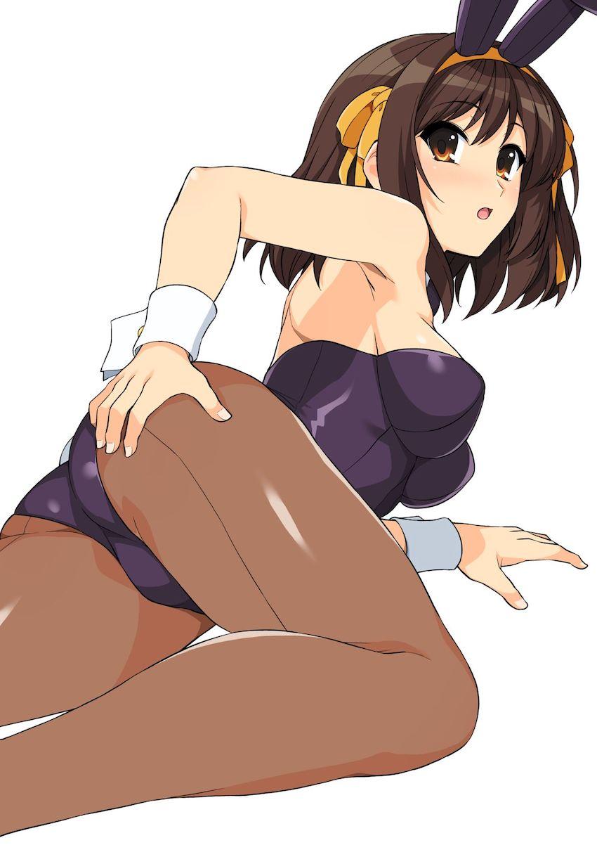 涼宮ハルヒのエロコス☆フルカラーイラスト集第13弾！大ボリューム169p！ <> 132