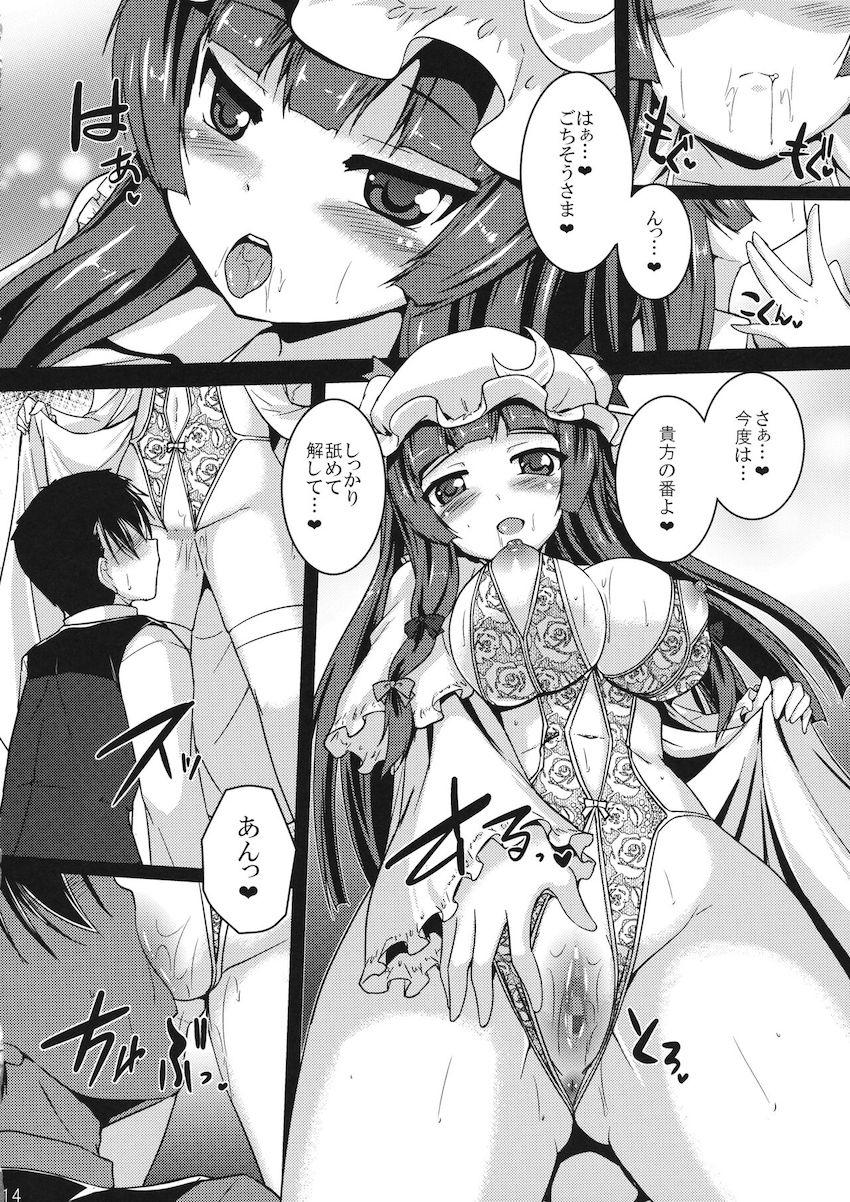 雇い主のパチュリーに週に一度搾られる本 <> 013