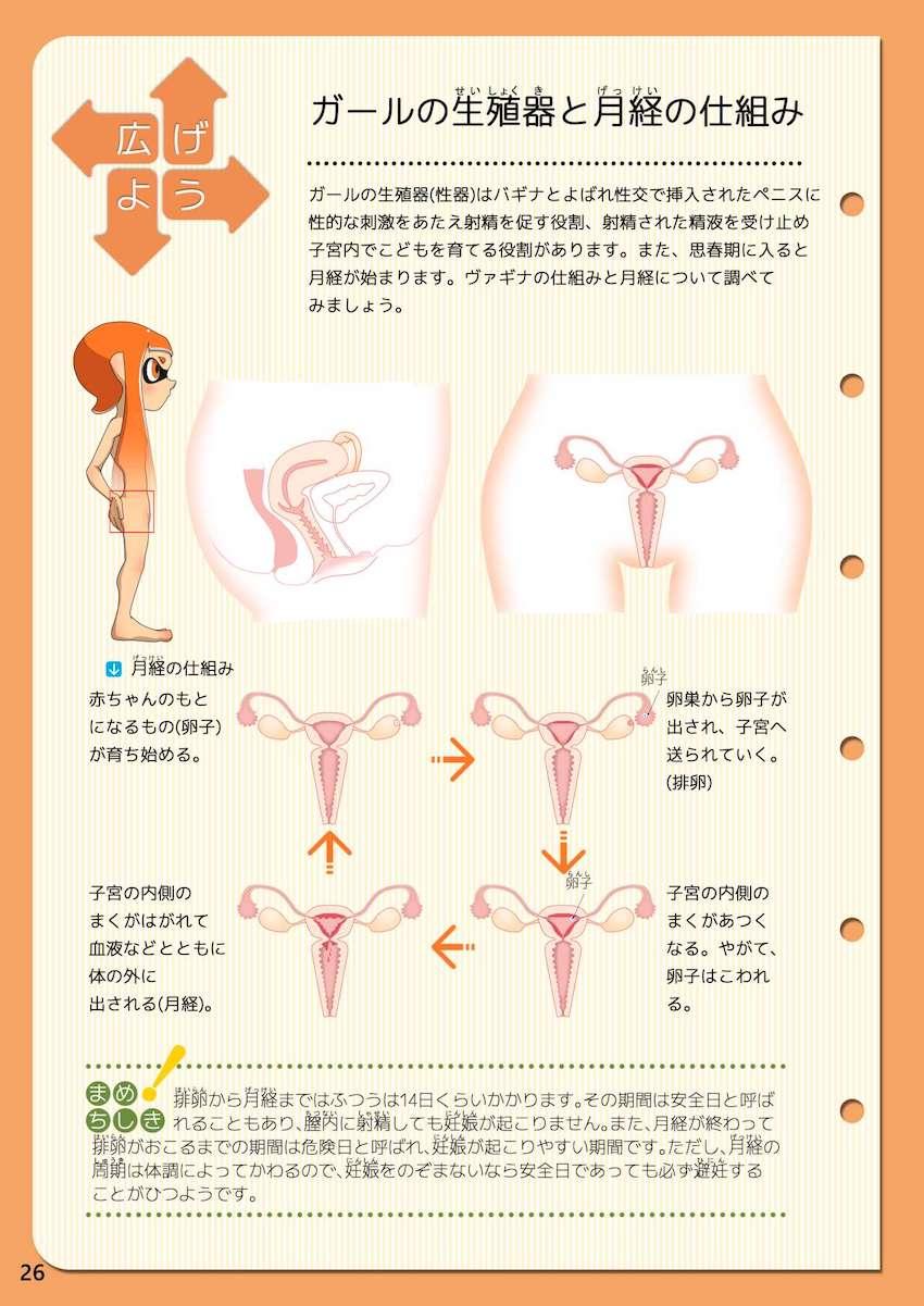 図解でわかりやすいイカの性交 <> 005