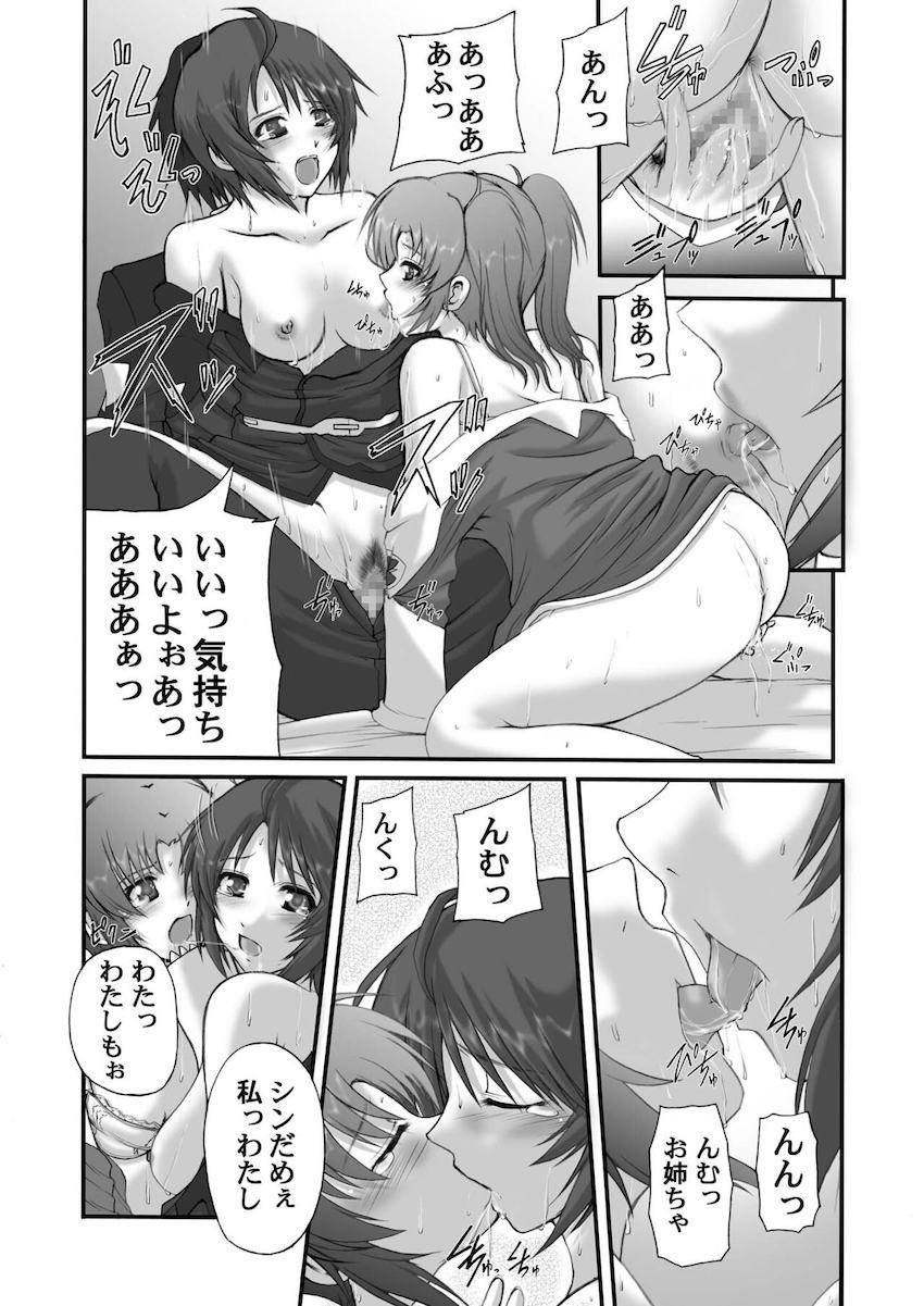 【旧作総集本】My Milky Way DESTINY Best <> 010
