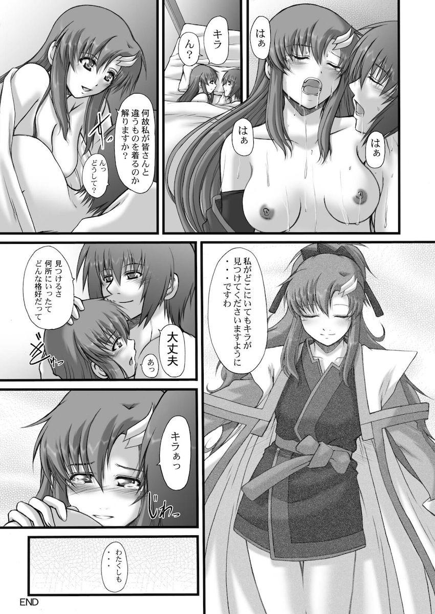 【旧作総集本】My Milky Way DESTINY Best <> 035