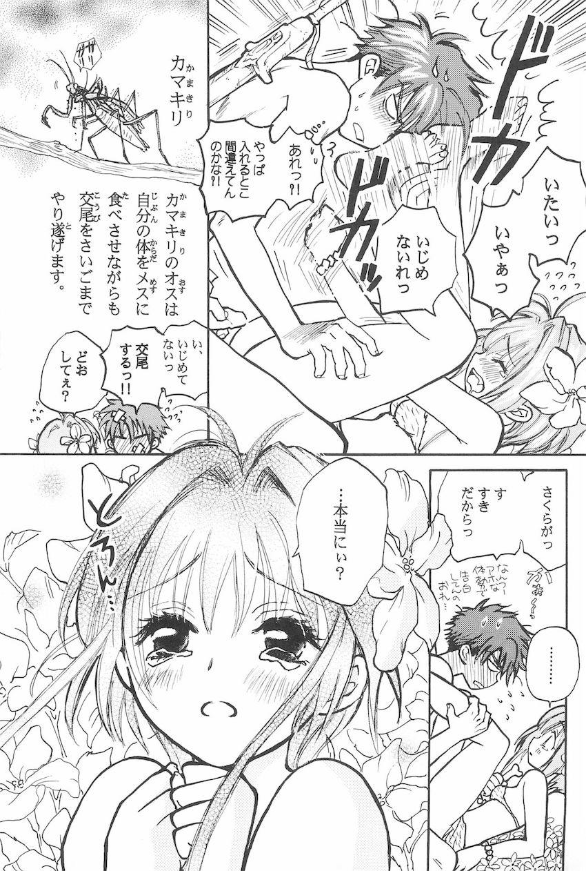はじめ人間さくら <> 024