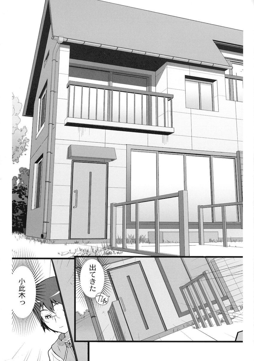 拡張型強誘電性コイル Ver2.1 <> 004