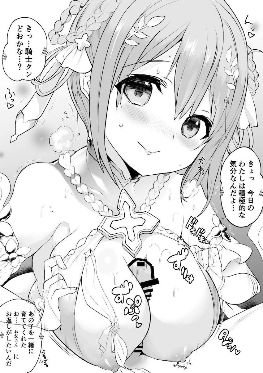 プリコネヒロインと即ハメえちえち詰め合わせ <> 010