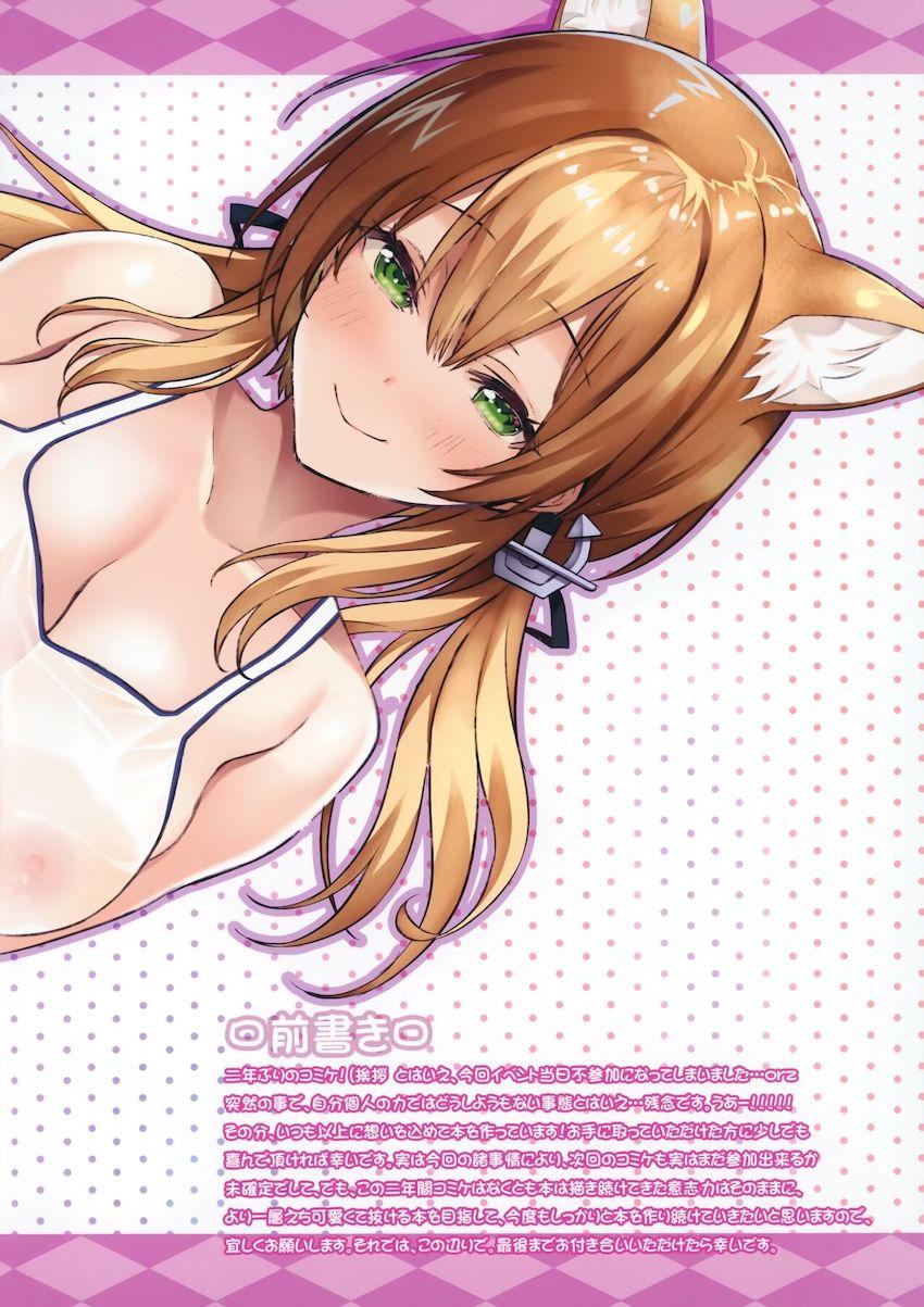 透け透け白スク姿のケモミミかわいいプリンツとラブラブ中出しセックス <> 003