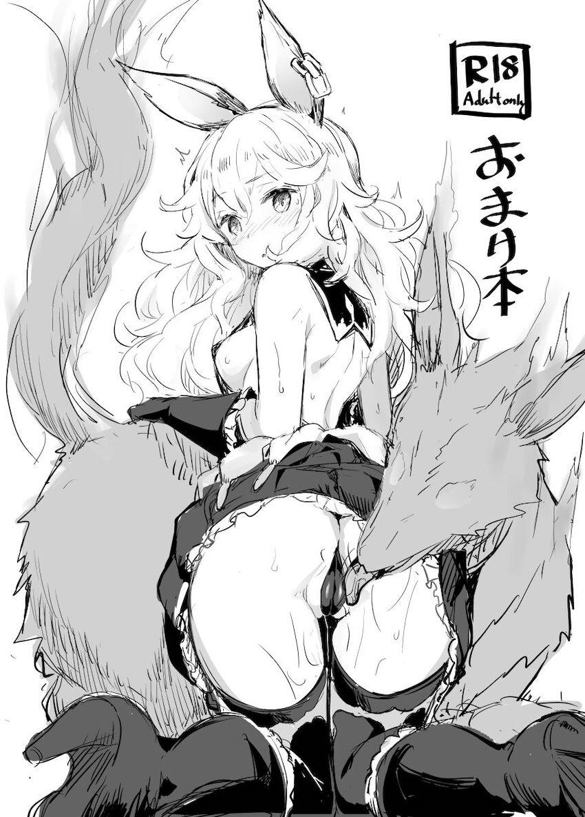 フェリのペット紹介 <> 1