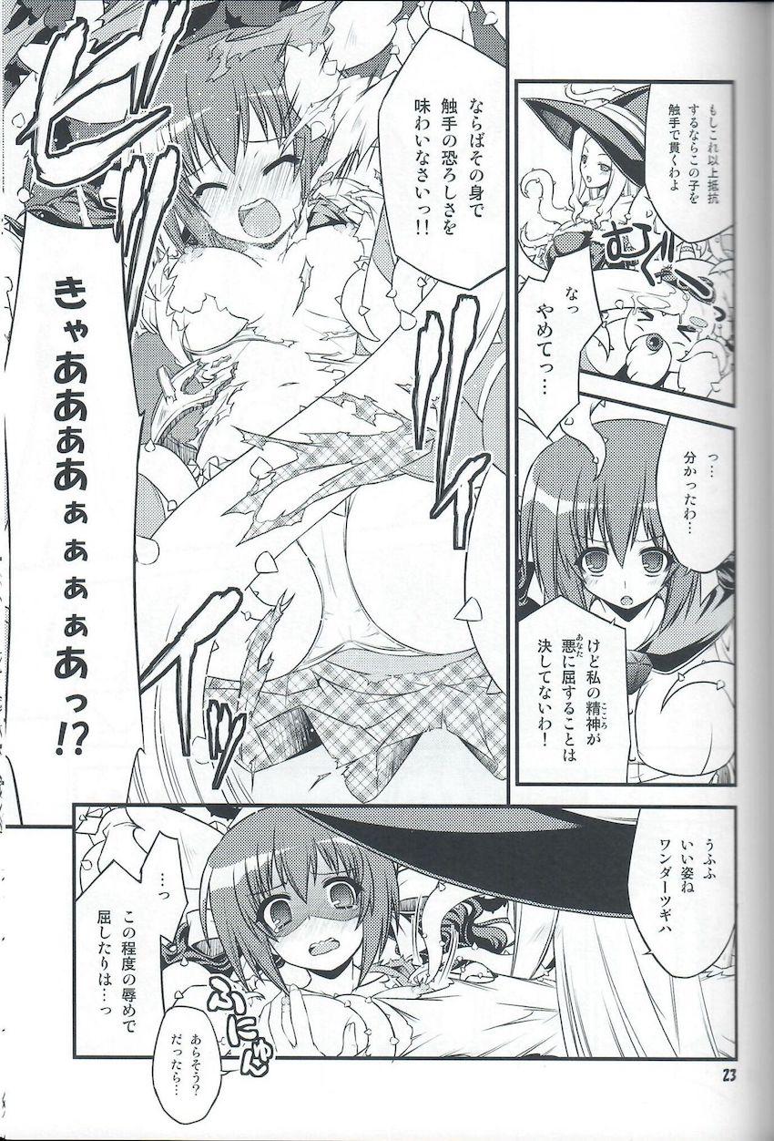 委員会連合with裸エプロン同盟の本。２。 <> 022