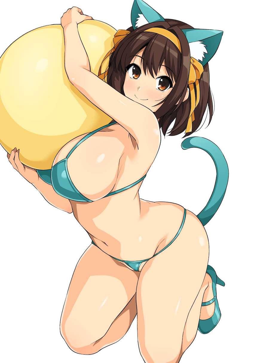 ハルヒ好きのためのフルカラーイラスト集第14弾！いろんなコスプレおまんこ見放題！ <> 021