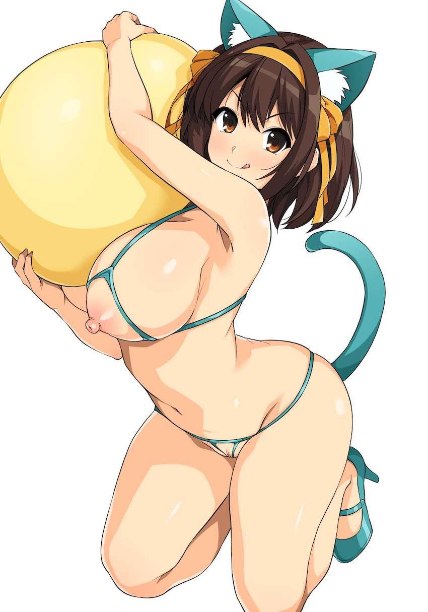 ハルヒ好きのためのフルカラーイラスト集第14弾！いろんなコスプレおまんこ見放題！ <> 022