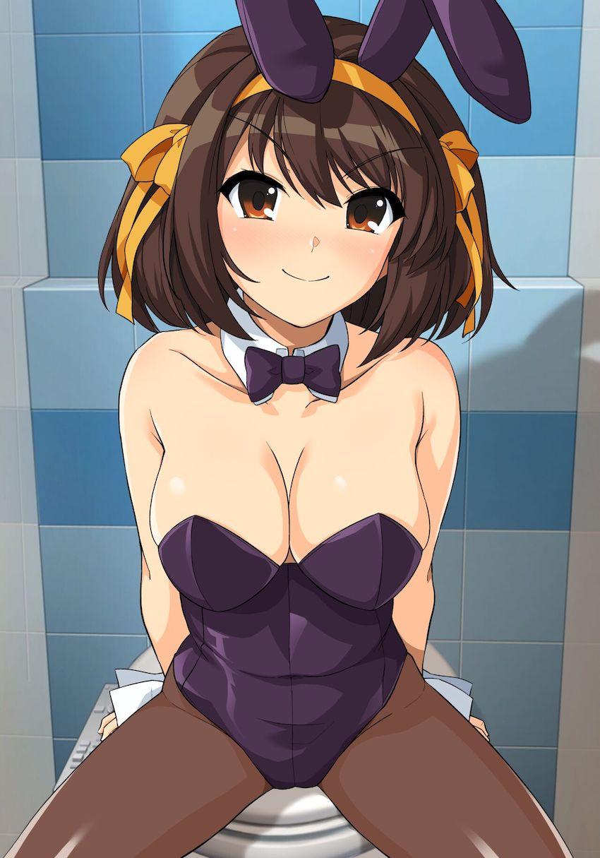 ハルヒ好きのためのフルカラーイラスト集第14弾！いろんなコスプレおまんこ見放題！ <> 044