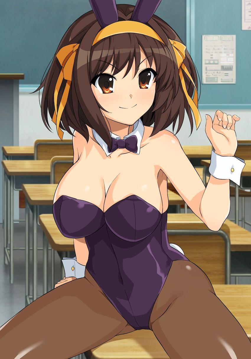 ハルヒ好きのためのフルカラーイラスト集第14弾！いろんなコスプレおまんこ見放題！ <> 046