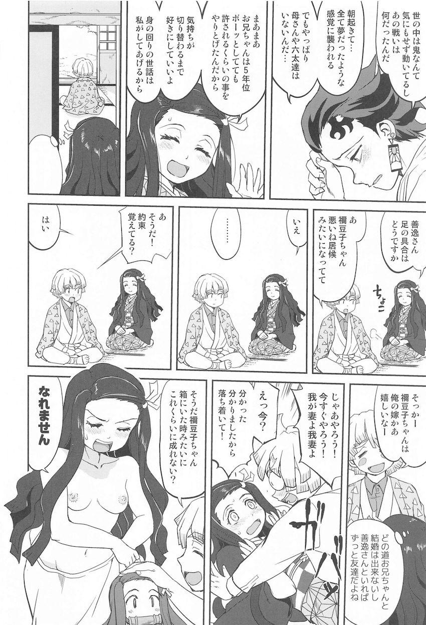 史実も織り交ぜた読み応え抜群の長編ストーリー！炭治郎と禰豆子の一生を描いた一冊 <> 045