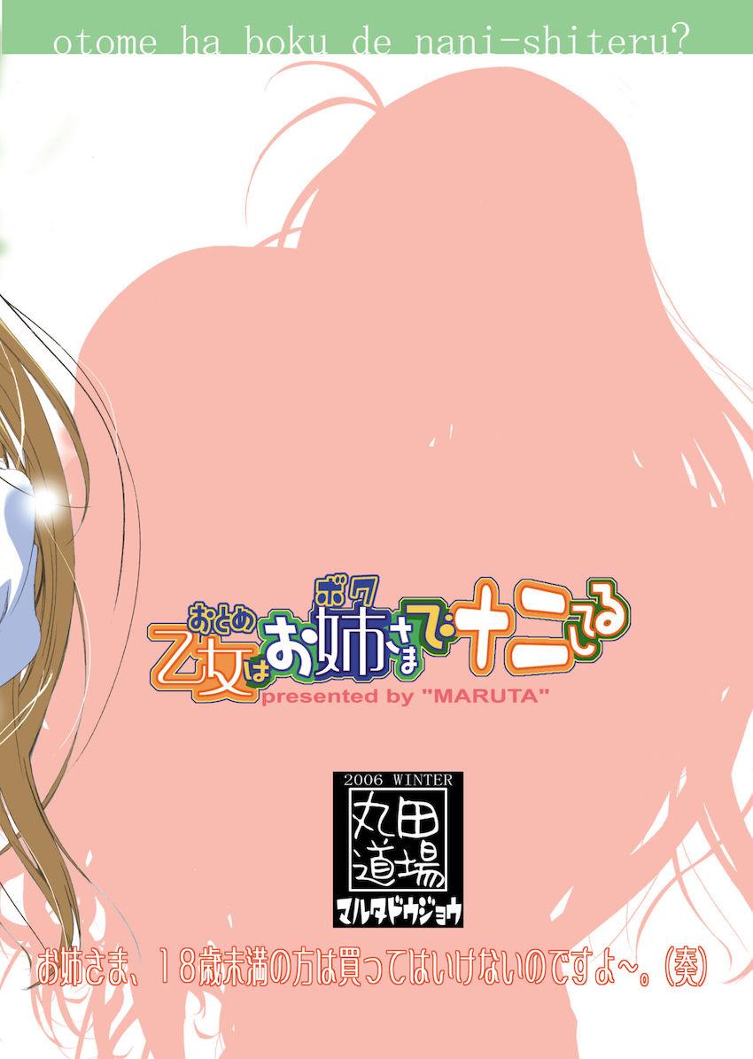 乙女はお姉さまでナニしてる <> 020