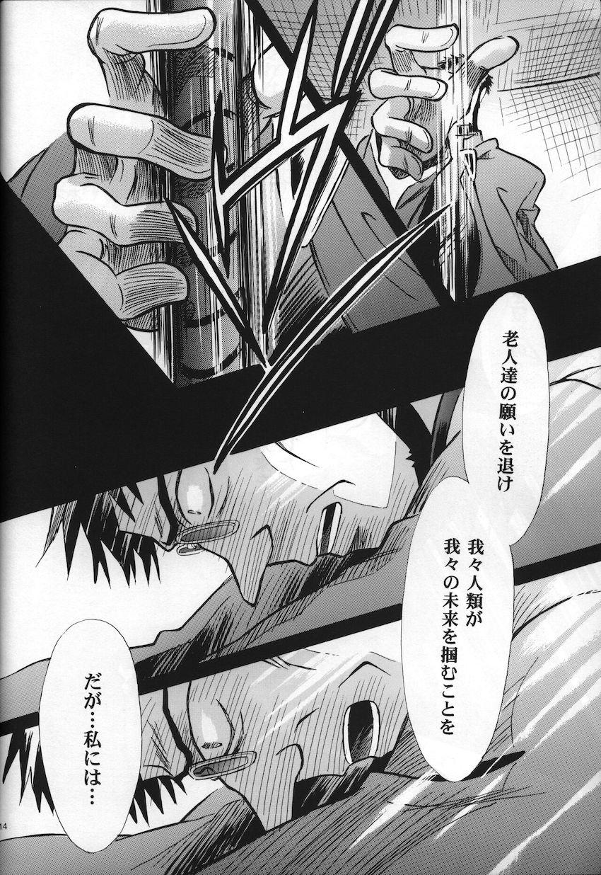 <新約> NEON GENESIS document G <> 016