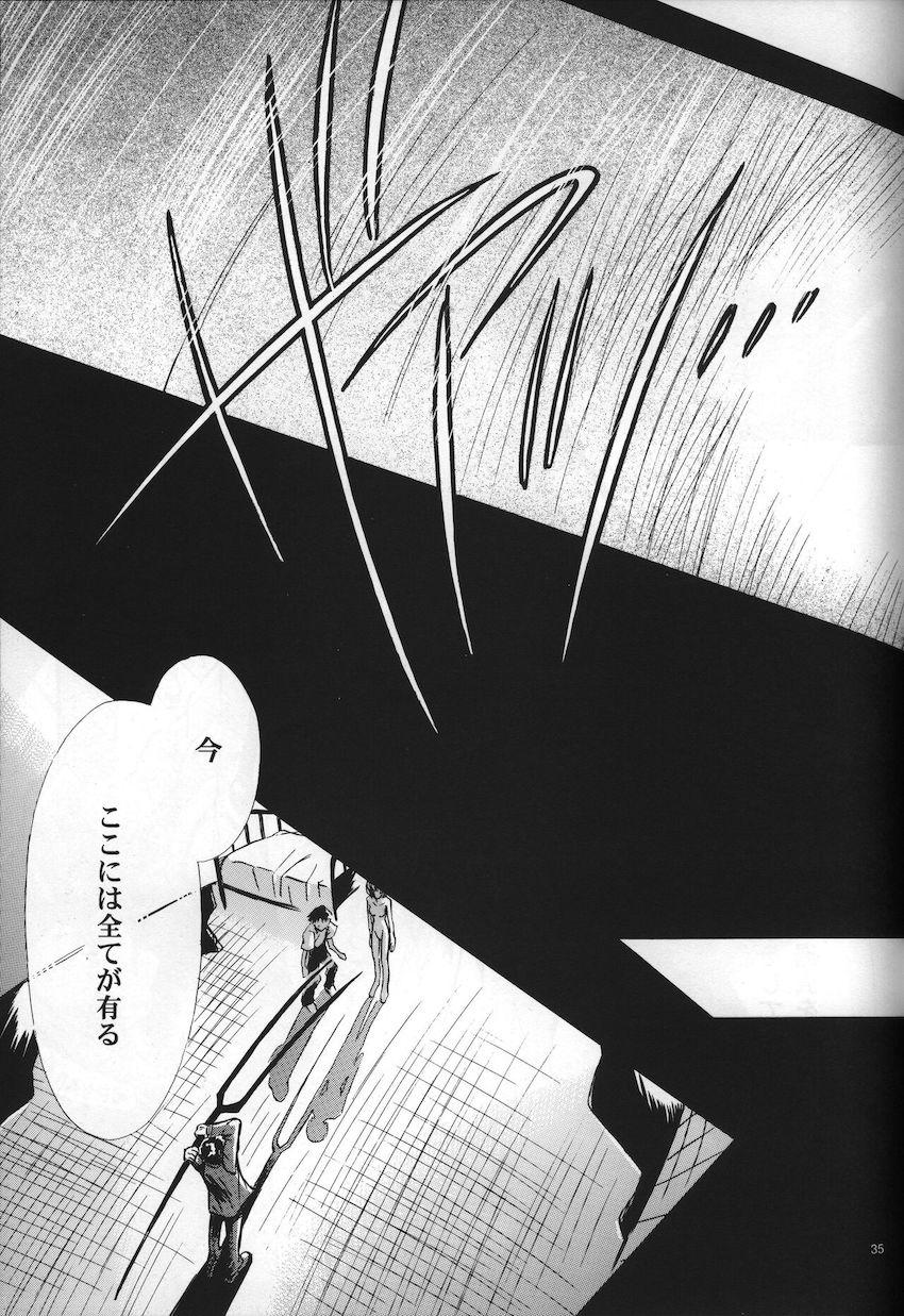 <新約> NEON GENESIS document G <> 037