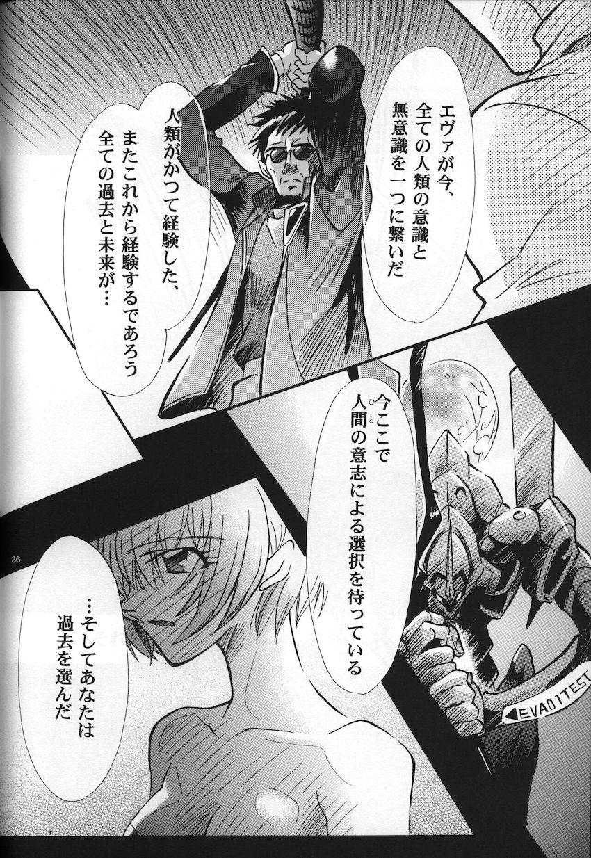 <新約> NEON GENESIS document G <> 038