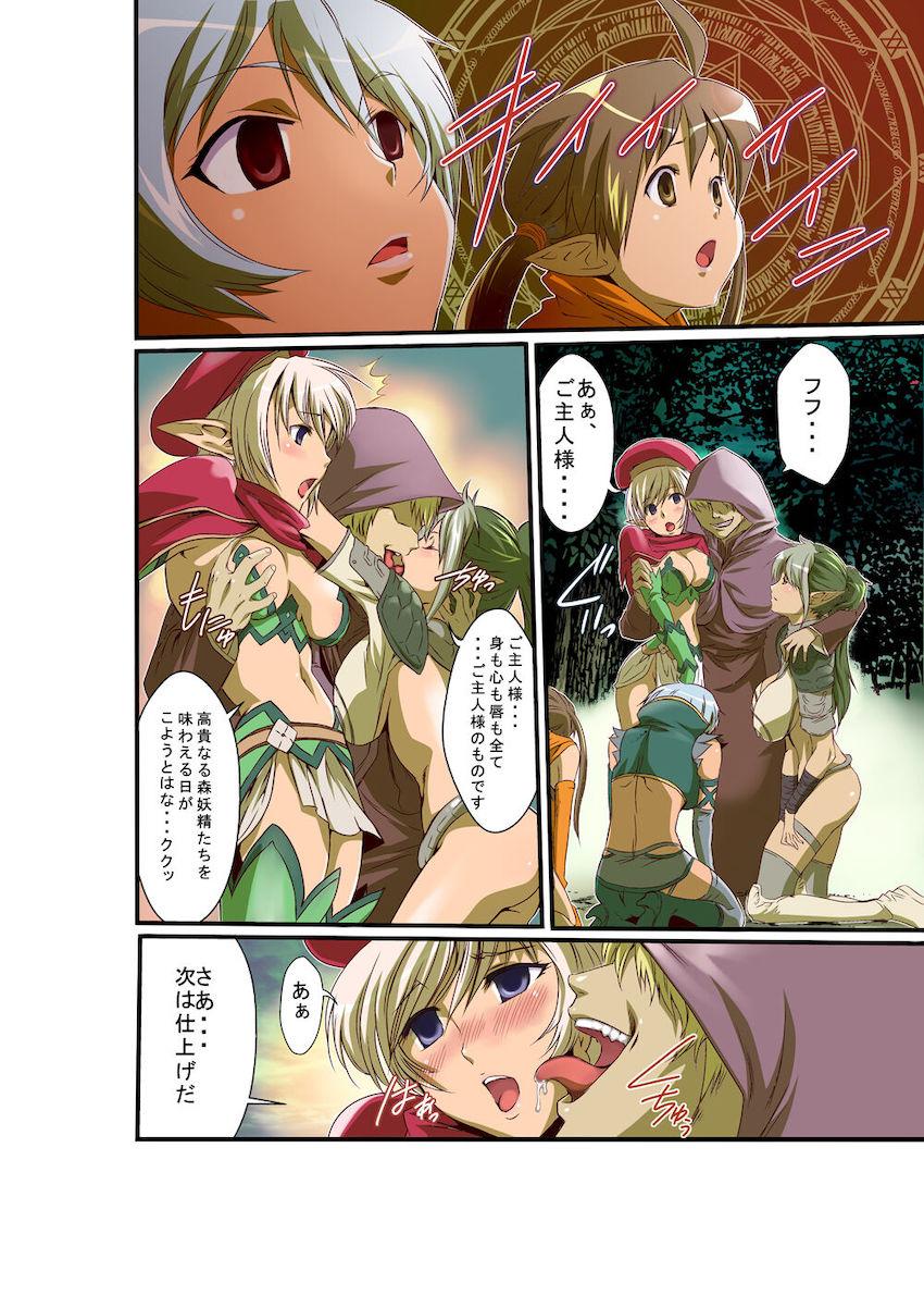 大陸中に名を轟かす凄腕女闘士たちを洗脳してハーレムセックス！ <> 014