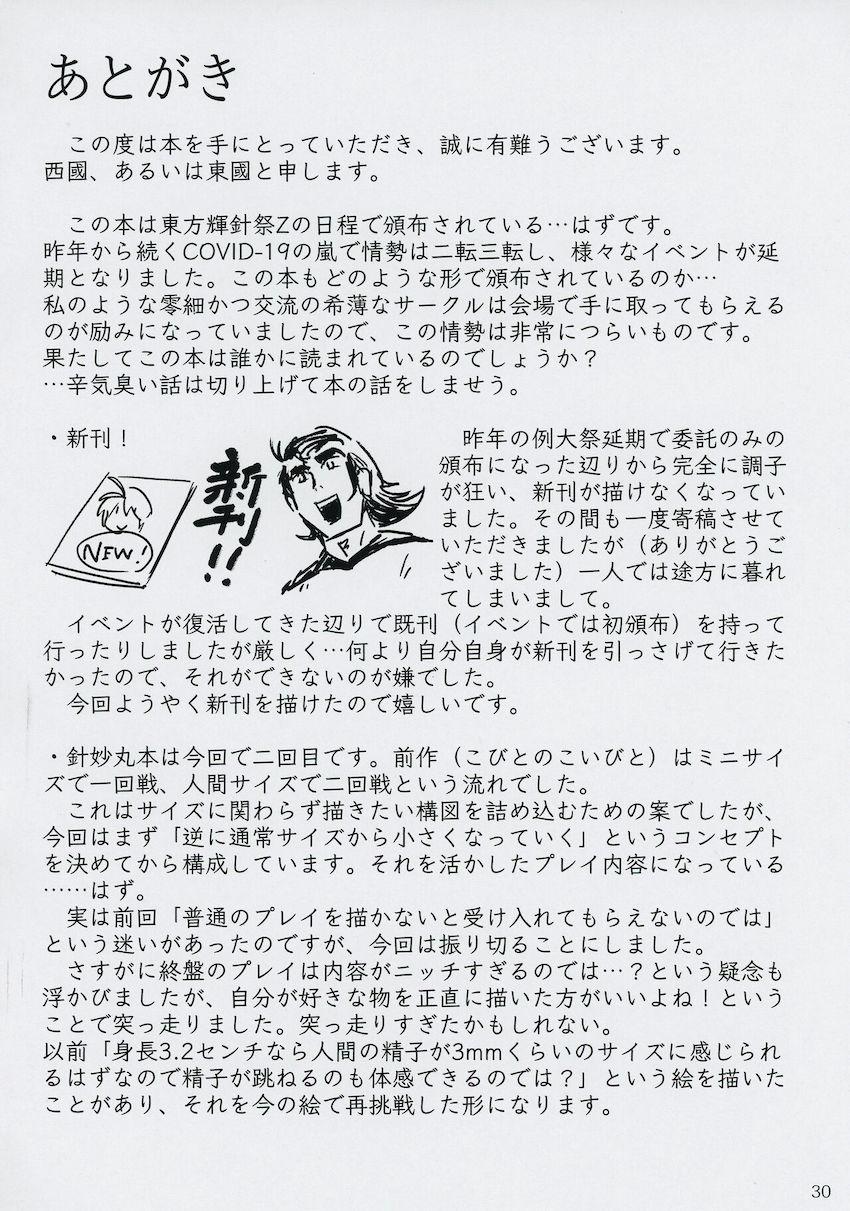 いろんなサイズに変化する針妙丸ちゃんと腹ボゴオナホセックス！ <> 029