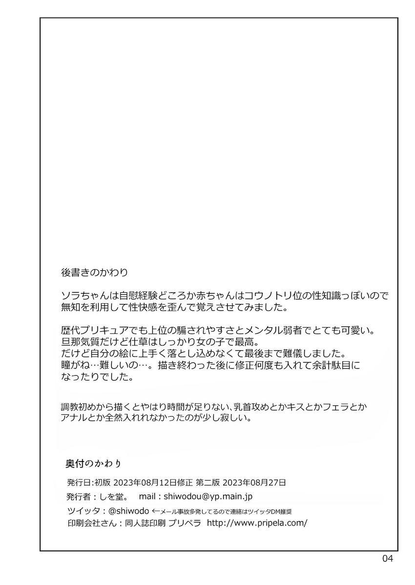 拉致拘束されたソラちゃんが悪人チンポで無知処女マンコを犯される！快楽調教で屈服堕ち！ <> 003