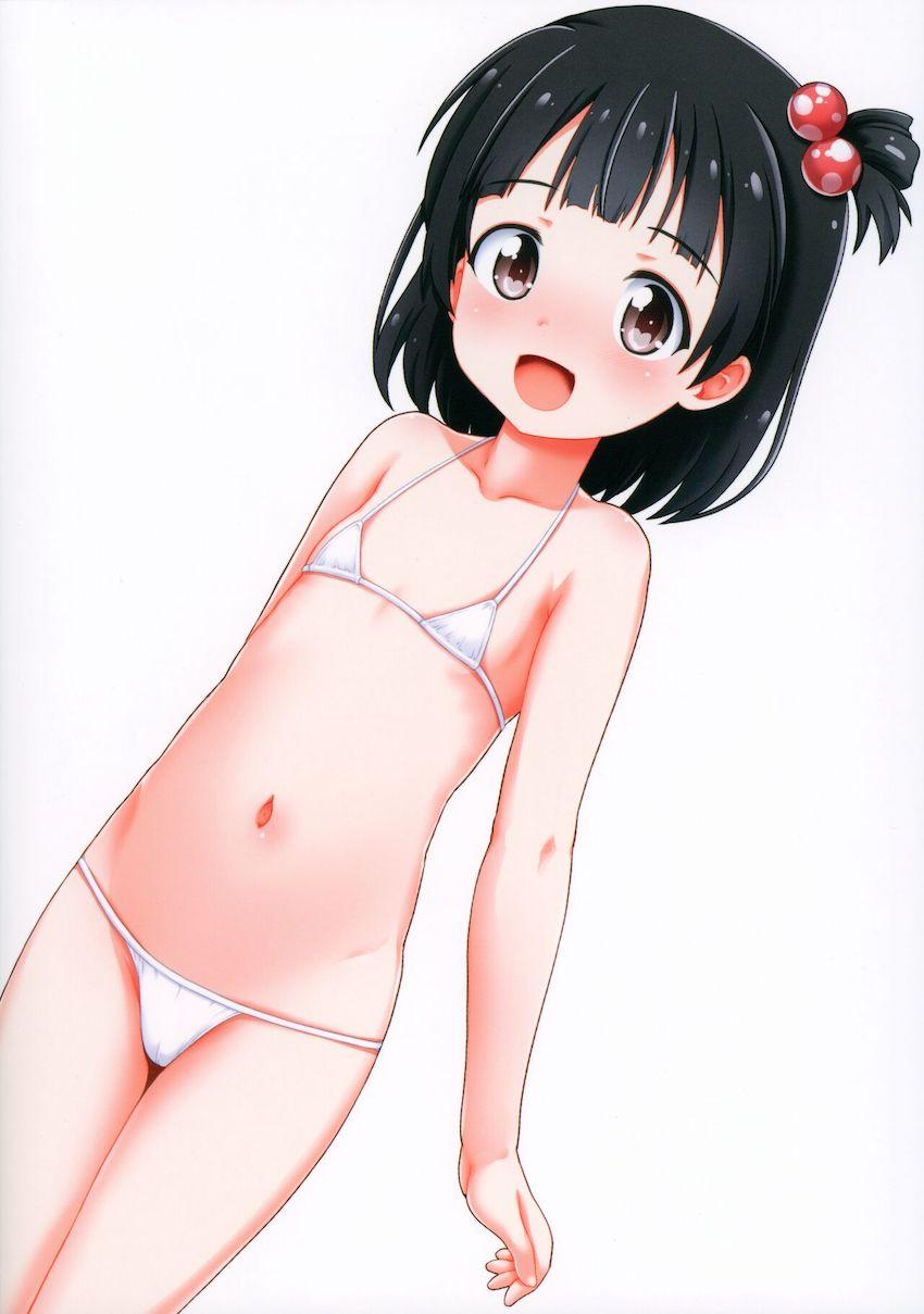 つるぺたぷにぷにロリアイドルちゃんたちとイチャラブ中出しセックス総集編C102 <> 088