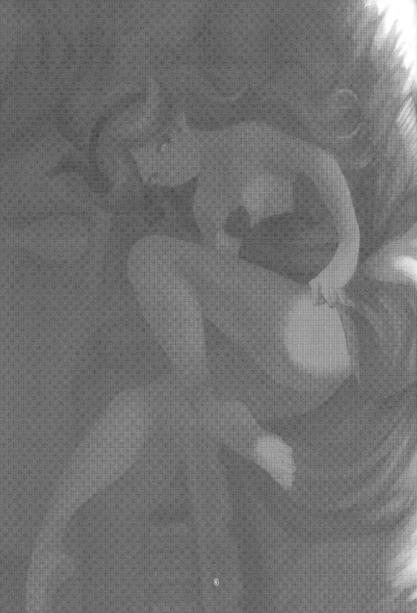 睡眠薬を盛られたサラが寝ている間に処女喪失しちゃう本 <> 002