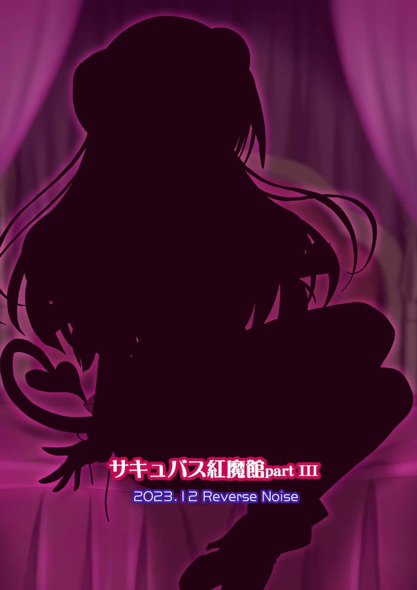 サキュバス化したパチュリーが小悪魔と一緒におっぱい担当として頑張る本 <> 025