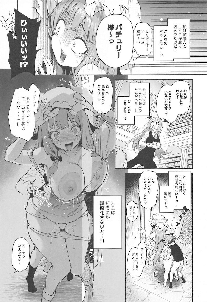 エロ魔導書の効果で敏感発情モードのパチュリー様がおねショタセックスでとろとろになる本 <> 009