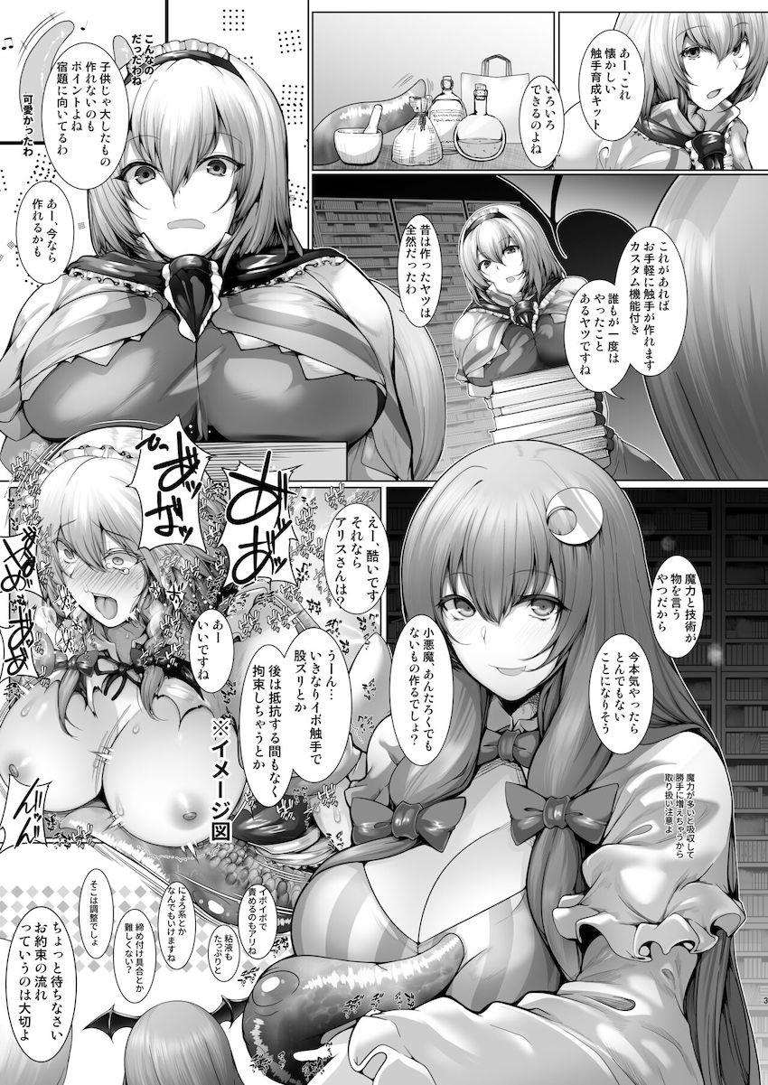 アリスとパチュリーの触手育成対決！ <> 002